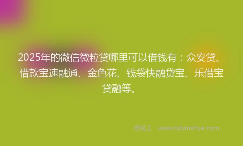 2025年的微信微粒贷哪里可以借钱有：众安贷、借款宝速融通、金色花、钱袋快融贷宝、乐借宝贷融等。