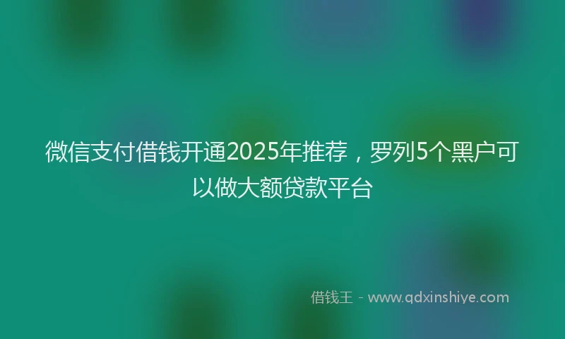 微信支付借钱开通2025年推荐，罗列5个黑户可以做大额贷款平台