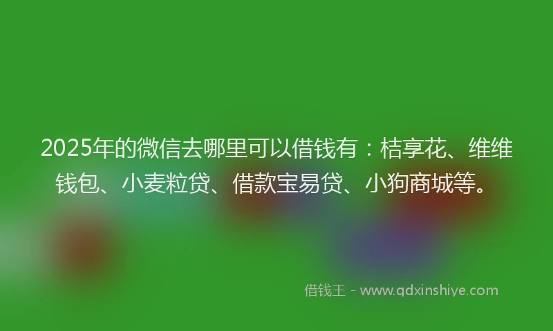 2025年的微信去哪里可以借钱有：桔享花、维维钱包、小麦粒贷、借款宝易贷、小狗商城等。