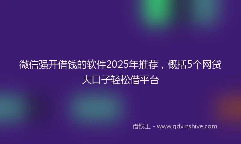 微信强开借钱的软件2025年推荐，概括5个网贷大口子轻松借平台