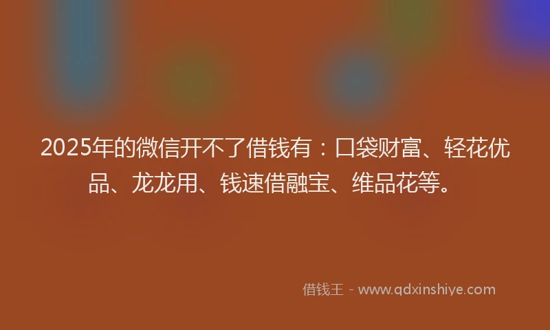 2025年的微信开不了借钱有：口袋财富、轻花优品、龙龙用、钱速借融宝、维品花等。