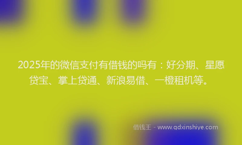 2025年的微信支付有借钱的吗有：好分期、星愿贷宝、掌上贷通、新浪易借、一橙租机等。