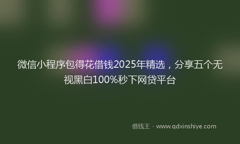 微信小程序包得花借钱2025年精选，分享五个无视黑白100%秒下网贷平台