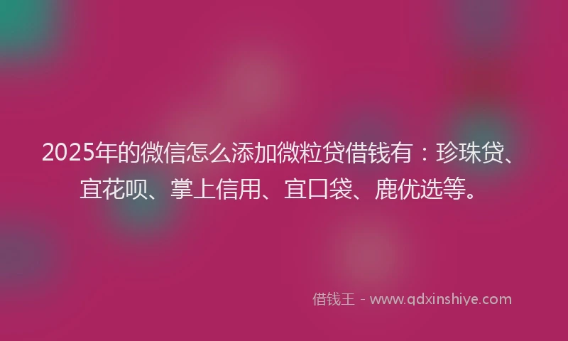 2025年的微信怎么添加微粒贷借钱有：珍珠贷、宜花呗、掌上信用、宜口袋、鹿优选等。