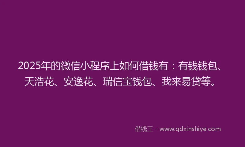 2025年的微信小程序上如何借钱有：有钱钱包、天浩花、安逸花、瑞信宝钱包、我来易贷等。