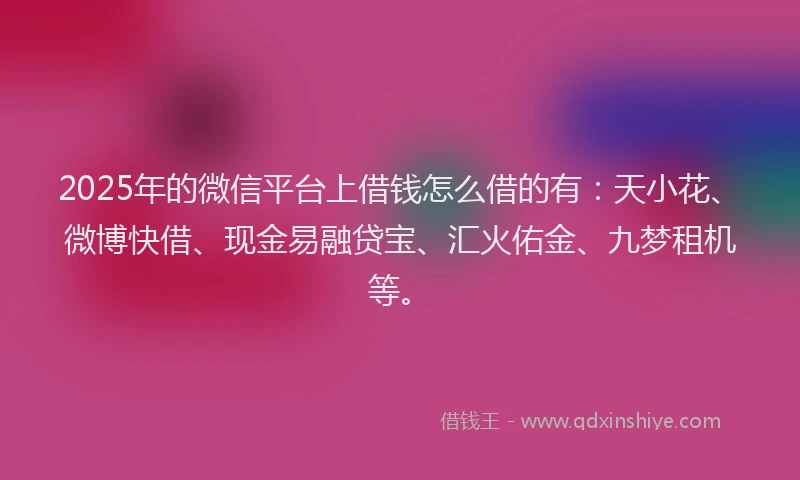 2025年的微信平台上借钱怎么借的有：天小花、微博快借、现金易融贷宝、汇火佑金、九梦租机等。