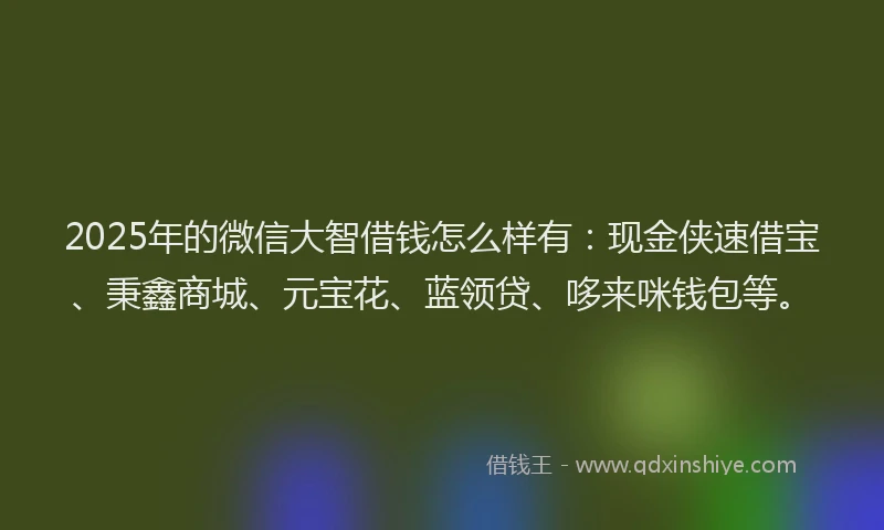 2025年的微信大智借钱怎么样有：现金侠速借宝、秉鑫商城、元宝花、蓝领贷、哆来咪钱包等。