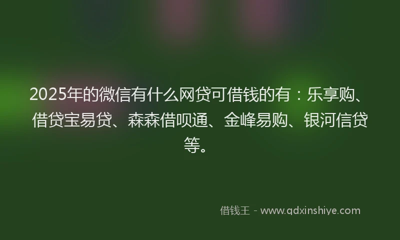 2025年的微信有什么网贷可借钱的有：乐享购、借贷宝易贷、森森借呗通、金峰易购、银河信贷等。