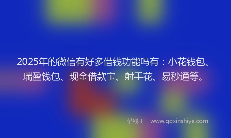 2025年的微信有好多借钱功能吗有：小花钱包、瑞盈钱包、现金借款宝、射手花、易秒通等。