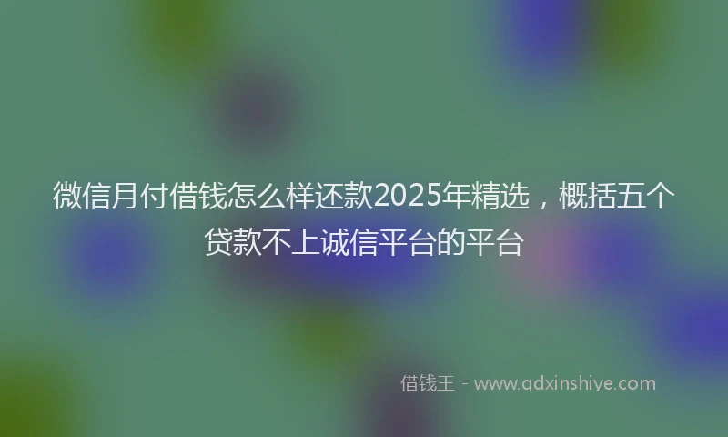微信月付借钱怎么样还款2025年精选，概括五个贷款不上诚信平台的平台