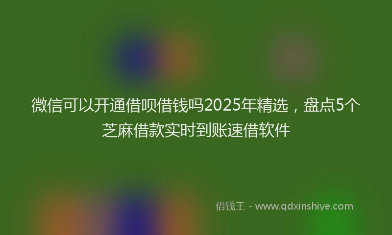 微信可以开通借呗借钱吗2025年精选，盘点5个芝麻借款实时到账速借软件