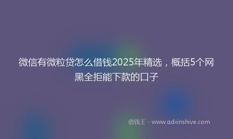 微信有微粒贷怎么借钱2025年精选，概括5个网黑全拒能下款的口子