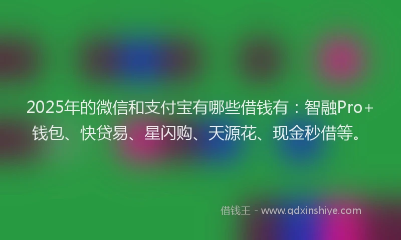 2025年的微信和支付宝有哪些借钱有：智融Pro+钱包、快贷易、星闪购、天源花、现金秒借等。