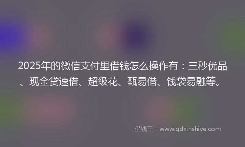 2025年的微信支付里借钱怎么操作有：三秒优品、现金贷速借、超级花、甄易借、钱袋易融等。