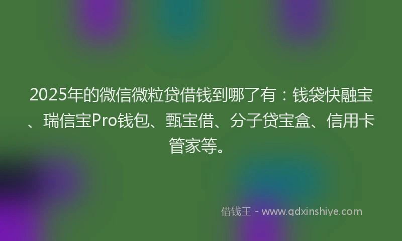 2025年的微信微粒贷借钱到哪了有：钱袋快融宝、瑞信宝Pro钱包、甄宝借、分子贷宝盒、信用卡管家等。
