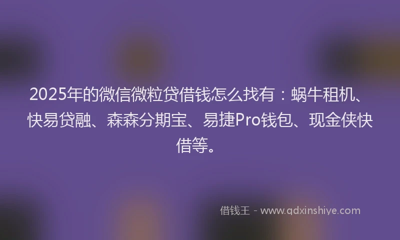 2025年的微信微粒贷借钱怎么找有：蜗牛租机、快易贷融、森森分期宝、易捷Pro钱包、现金侠快借等。