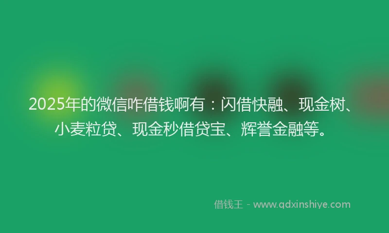 2025年的微信咋借钱啊有：闪借快融、现金树、小麦粒贷、现金秒借贷宝、辉誉金融等。
