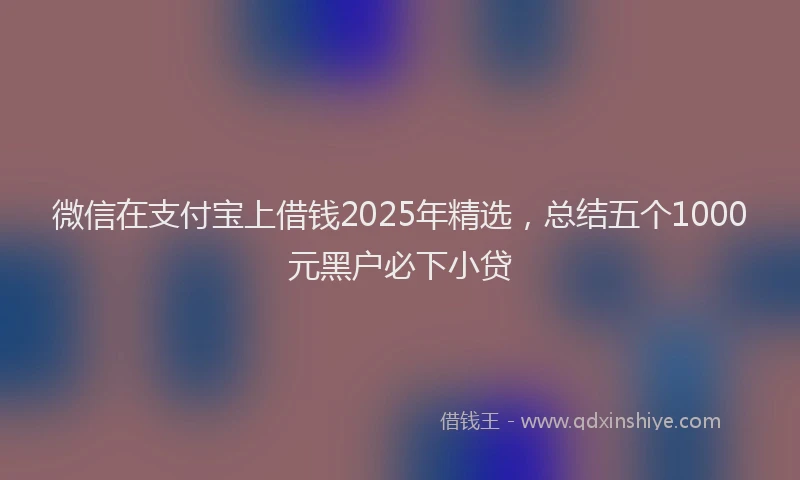 微信在支付宝上借钱2025年精选，总结五个1000元黑户必下小贷