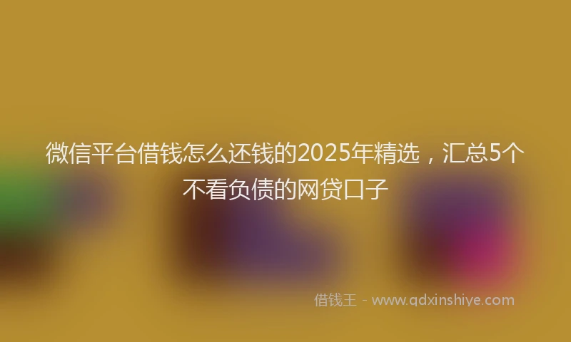 微信平台借钱怎么还钱的2025年精选，汇总5个不看负债的网贷口子