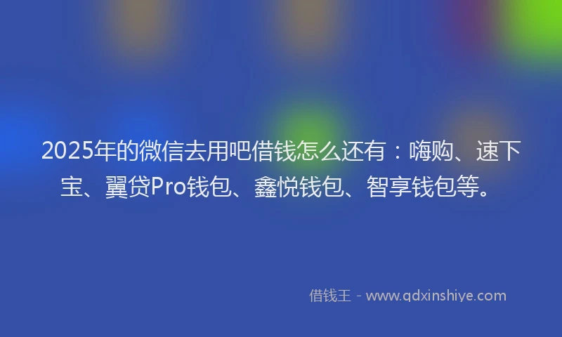 2025年的微信去用吧借钱怎么还有：嗨购、速下宝、翼贷Pro钱包、鑫悦钱包、智享钱包等。