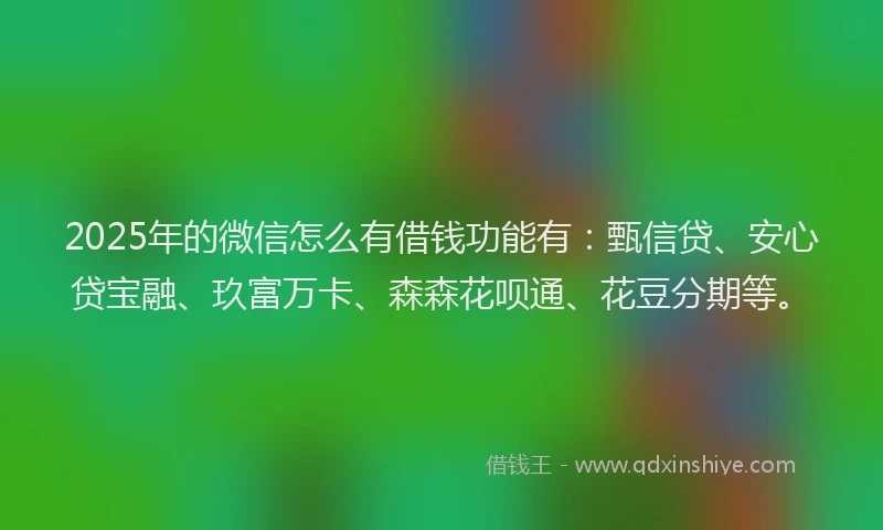 2025年的微信怎么有借钱功能有：甄信贷、安心贷宝融、玖富万卡、森森花呗通、花豆分期等。
