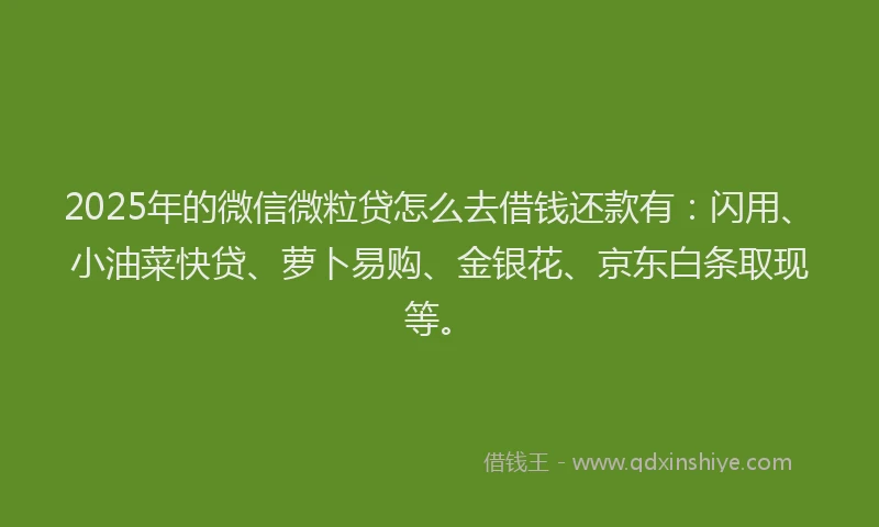 2025年的微信微粒贷怎么去借钱还款有：闪用、小油菜快贷、萝卜易购、金银花、京东白条取现等。
