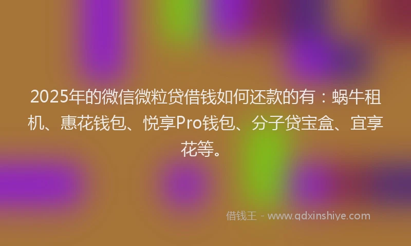 2025年的微信微粒贷借钱如何还款的有：蜗牛租机、惠花钱包、悦享Pro钱包、分子贷宝盒、宜享花等。