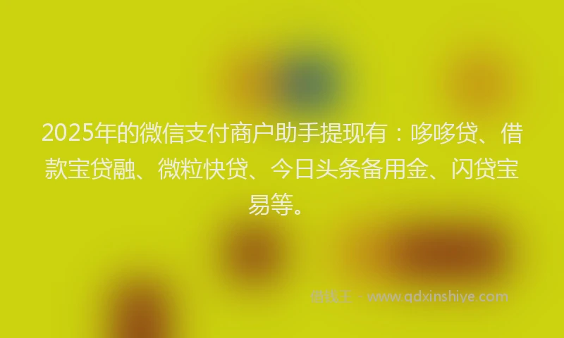 2025年的微信支付商户助手提现有：哆哆贷、借款宝贷融、微粒快贷、今日头条备用金、闪贷宝易等。