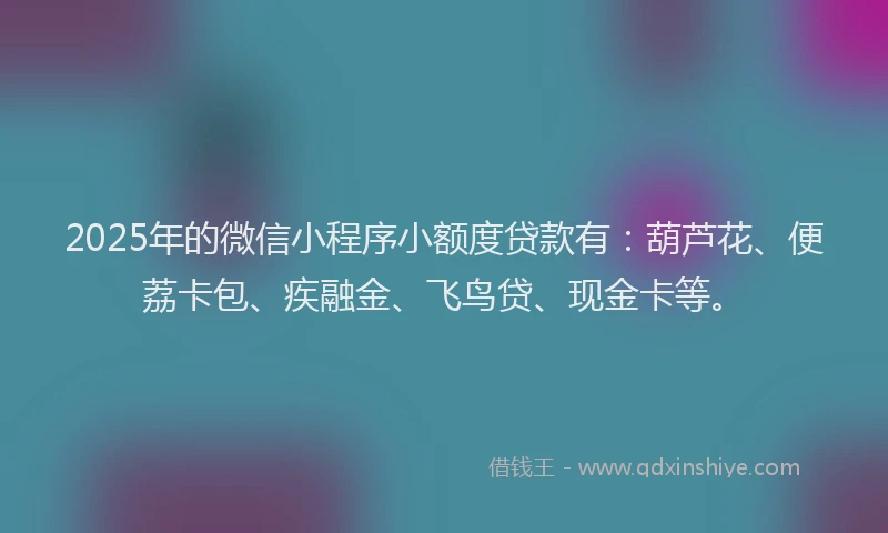 2025年的微信小程序小额度贷款有：葫芦花、便荔卡包、疾融金、飞鸟贷、现金卡等。