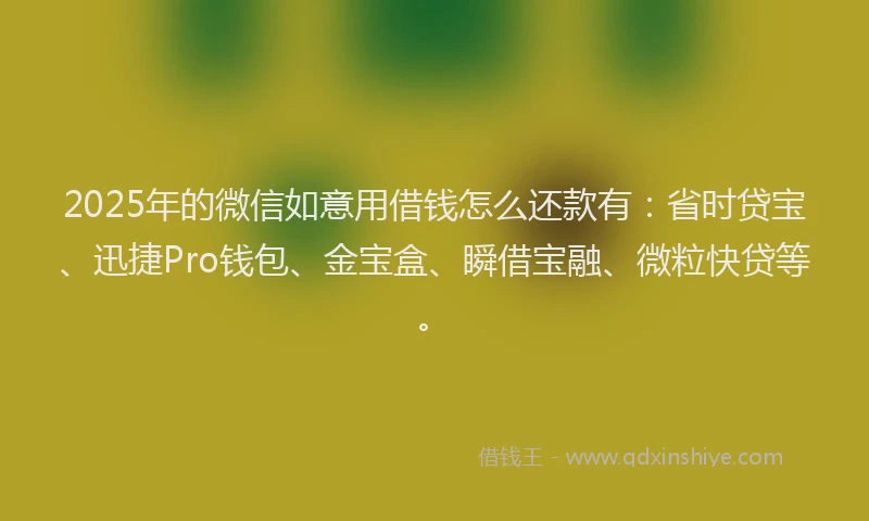2025年的微信如意用借钱怎么还款有：省时贷宝、迅捷Pro钱包、金宝盒、瞬借宝融、微粒快贷等。