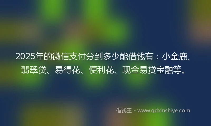 2025年的微信支付分到多少能借钱有：小金鹿、翡翠贷、易得花、便利花、现金易贷宝融等。