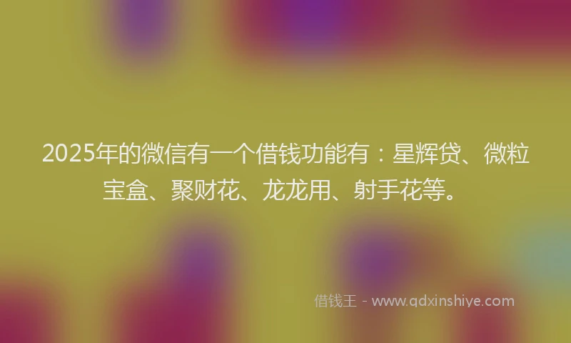 2025年的微信有一个借钱功能有：星辉贷、微粒宝盒、聚财花、龙龙用、射手花等。