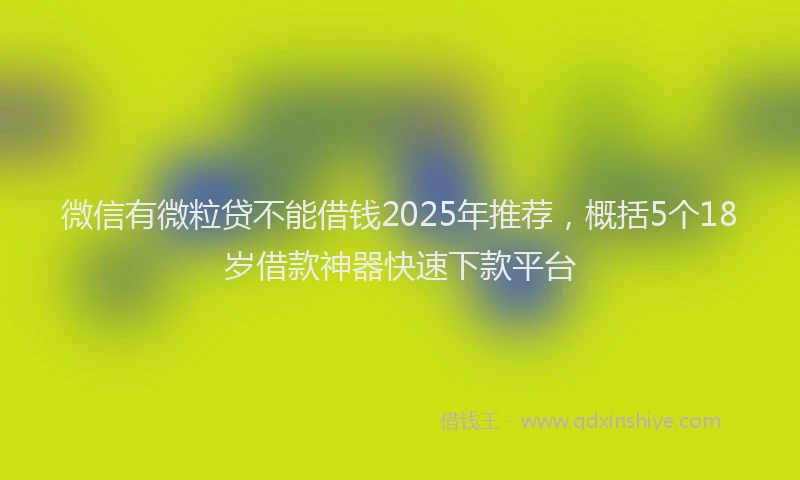 微信有微粒贷不能借钱2025年推荐，概括5个18岁借款神器快速下款平台