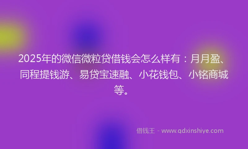 2025年的微信微粒贷借钱会怎么样有：月月盈、同程提钱游、易贷宝速融、小花钱包、小铭商城等。