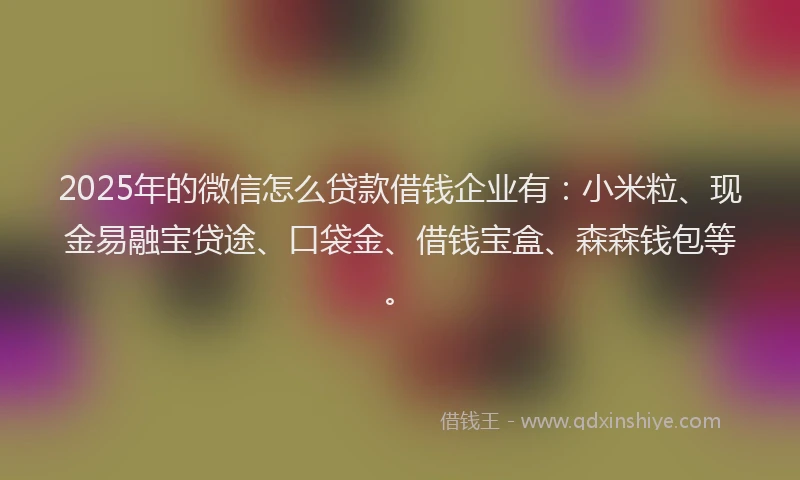 2025年的微信怎么贷款借钱企业有：小米粒、现金易融宝贷途、口袋金、借钱宝盒、森森钱包等。