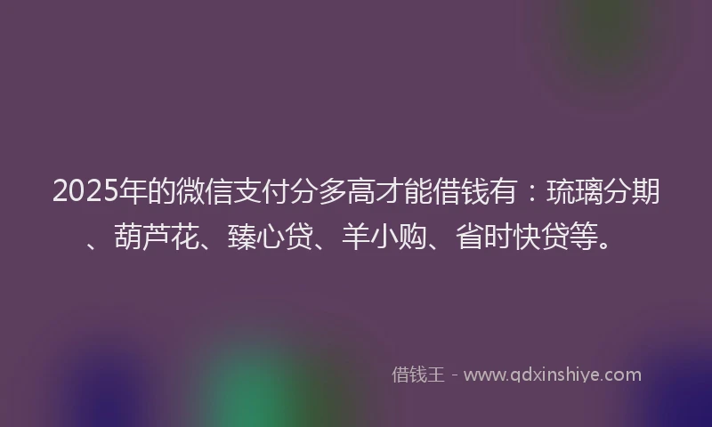 2025年的微信支付分多高才能借钱有：琉璃分期、葫芦花、臻心贷、羊小购、省时快贷等。