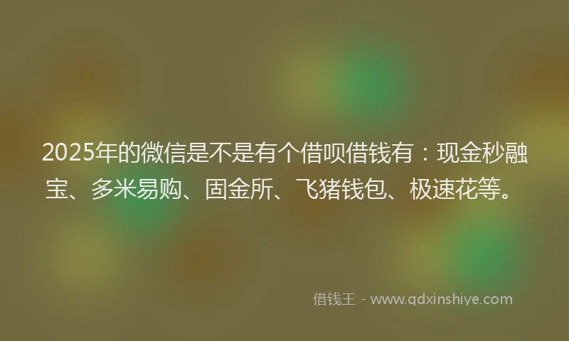2025年的微信是不是有个借呗借钱有：现金秒融宝、多米易购、固金所、飞猪钱包、极速花等。