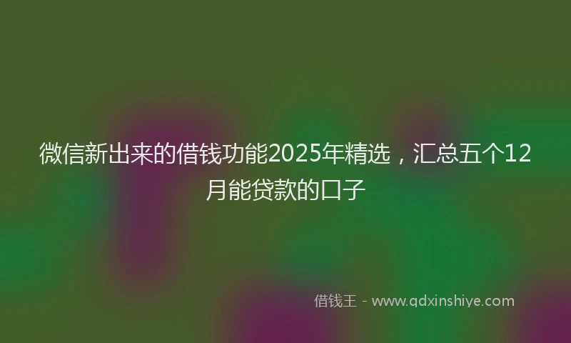微信新出来的借钱功能2025年精选，汇总五个12月能贷款的口子