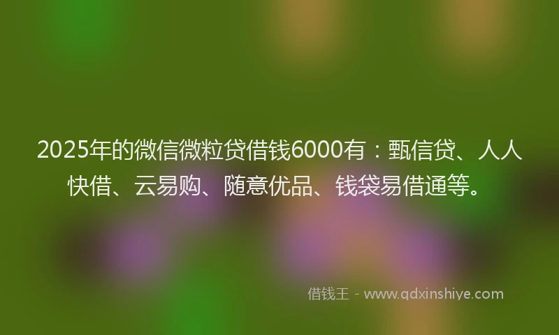 2025年的微信微粒贷借钱6000有：甄信贷、人人快借、云易购、随意优品、钱袋易借通等。