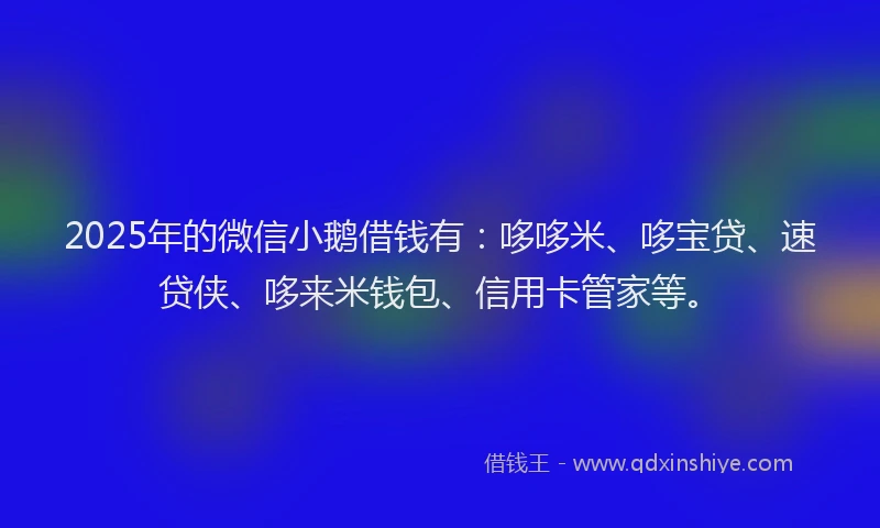 2025年的微信小鹅借钱有：哆哆米、哆宝贷、速贷侠、哆来米钱包、信用卡管家等。
