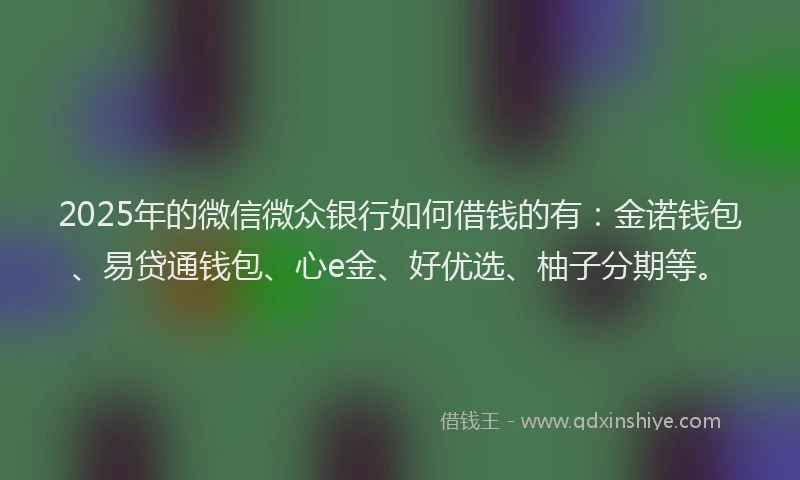 2025年的微信微众银行如何借钱的有：金诺钱包、易贷通钱包、心e金、好优选、柚子分期等。