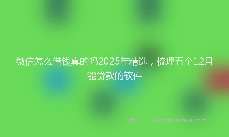 微信怎么借钱真的吗2025年精选，梳理五个12月能贷款的软件