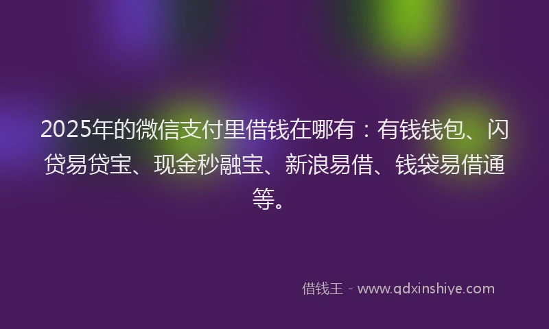 2025年的微信支付里借钱在哪有：有钱钱包、闪贷易贷宝、现金秒融宝、新浪易借、钱袋易借通等。
