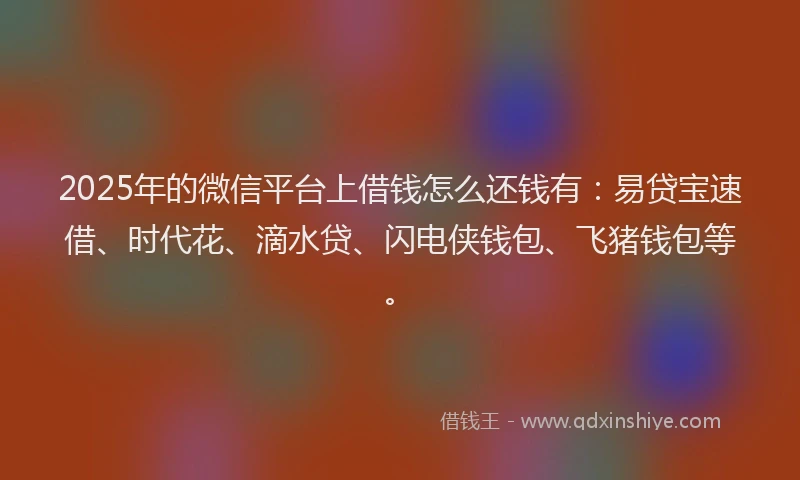2025年的微信平台上借钱怎么还钱有：易贷宝速借、时代花、滴水贷、闪电侠钱包、飞猪钱包等。