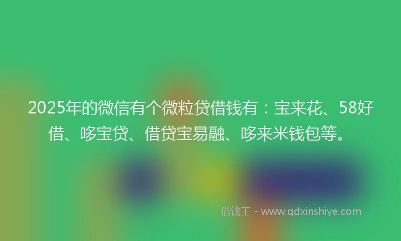 2025年的微信有个微粒贷借钱有：宝来花、58好借、哆宝贷、借贷宝易融、哆来米钱包等。