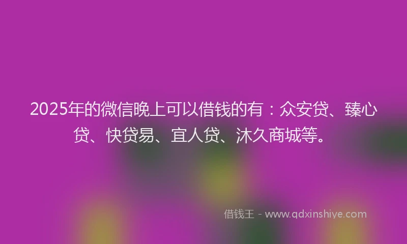 2025年的微信晚上可以借钱的有：众安贷、臻心贷、快贷易、宜人贷、沐久商城等。