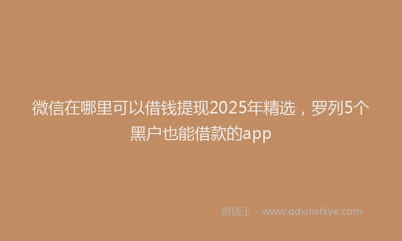 微信在哪里可以借钱提现2025年精选，罗列5个黑户也能借款的app