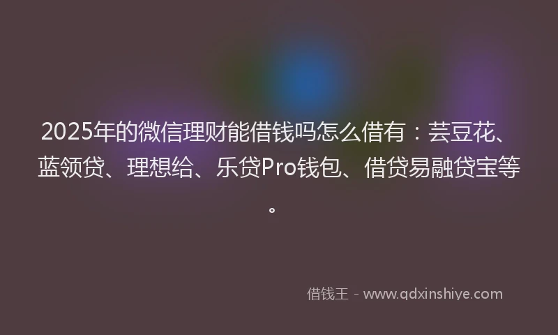 2025年的微信理财能借钱吗怎么借有：芸豆花、蓝领贷、理想给、乐贷Pro钱包、借贷易融贷宝等。
