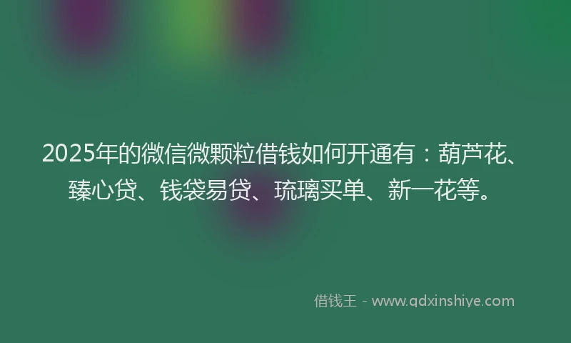 2025年的微信微颗粒借钱如何开通有：葫芦花、臻心贷、钱袋易贷、琉璃买单、新一花等。