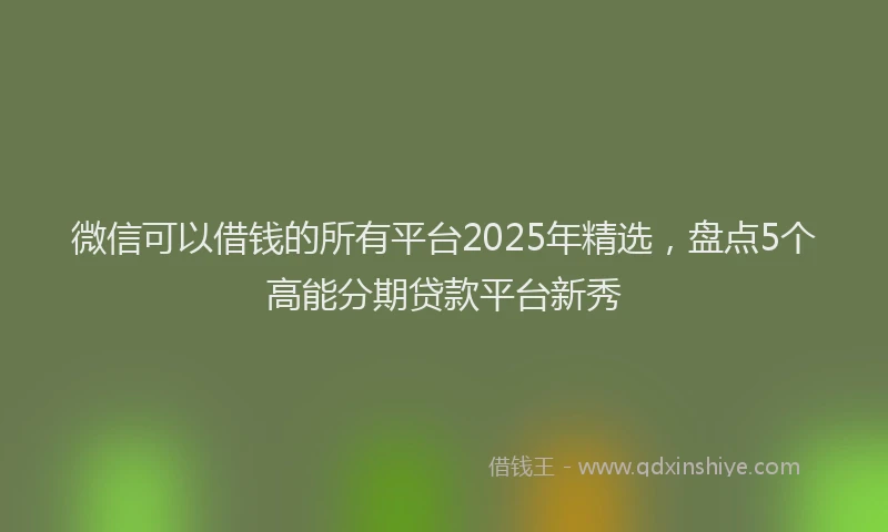 微信可以借钱的所有平台2025年精选，盘点5个高能分期贷款平台新秀